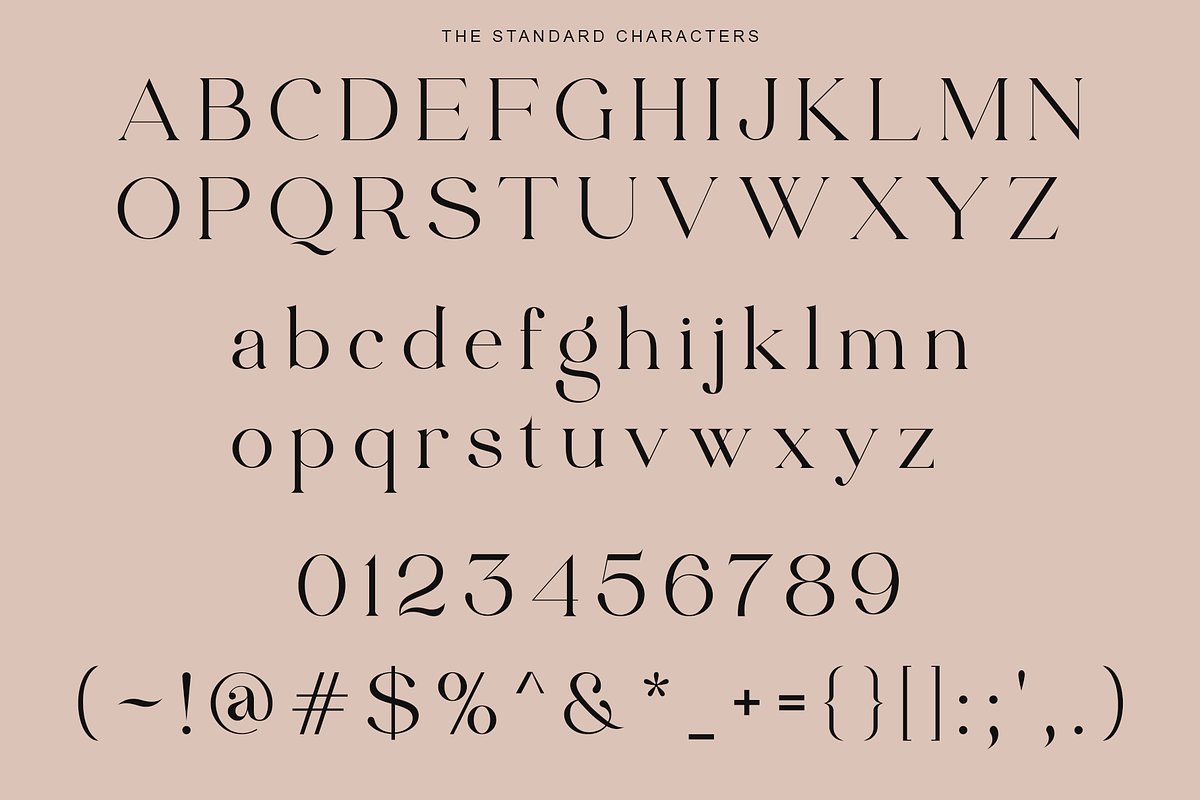 Edhan Martine | 150 Ligatures, a Serif Font by Sealoung (Photo 17 of 18)