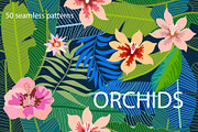 Tropical Orchids, a Pattern Graphic by Svetlana Kononova (Thumbnail 4 of 5)