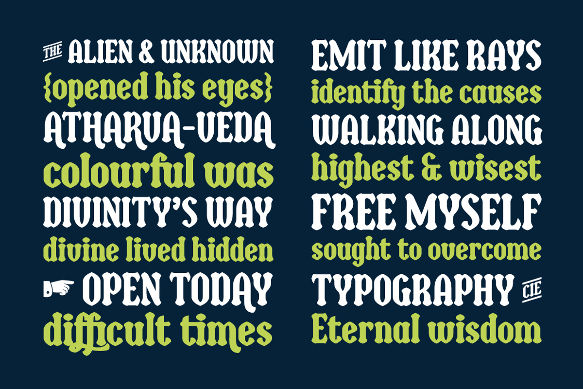 Bulbia, a Serif Font by Typogama (Photo 14 of 14)