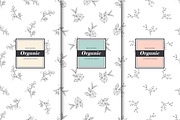 Hand drawn herbal kit, a Healthcare Illustration by Manaraga (Thumbnail 12 of 14)
