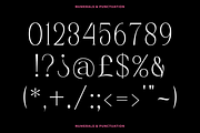 Avencore - Display Serif Font, a Serif Font by RockboyStd (Thumbnail 9 of 12)