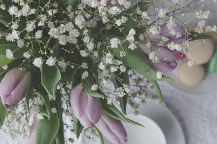 Lavender Tulip Flatlay
