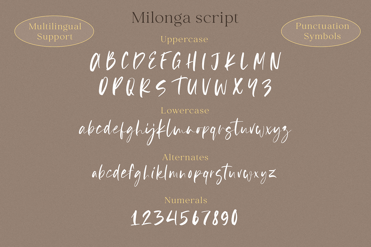 Milonga, a Script Font by Larin Type Co. (Photo 9 of 9)