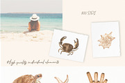 Watercolor ocean life, an Animal Illustration by ViolettaKh (Thumbnail 3 of 9)