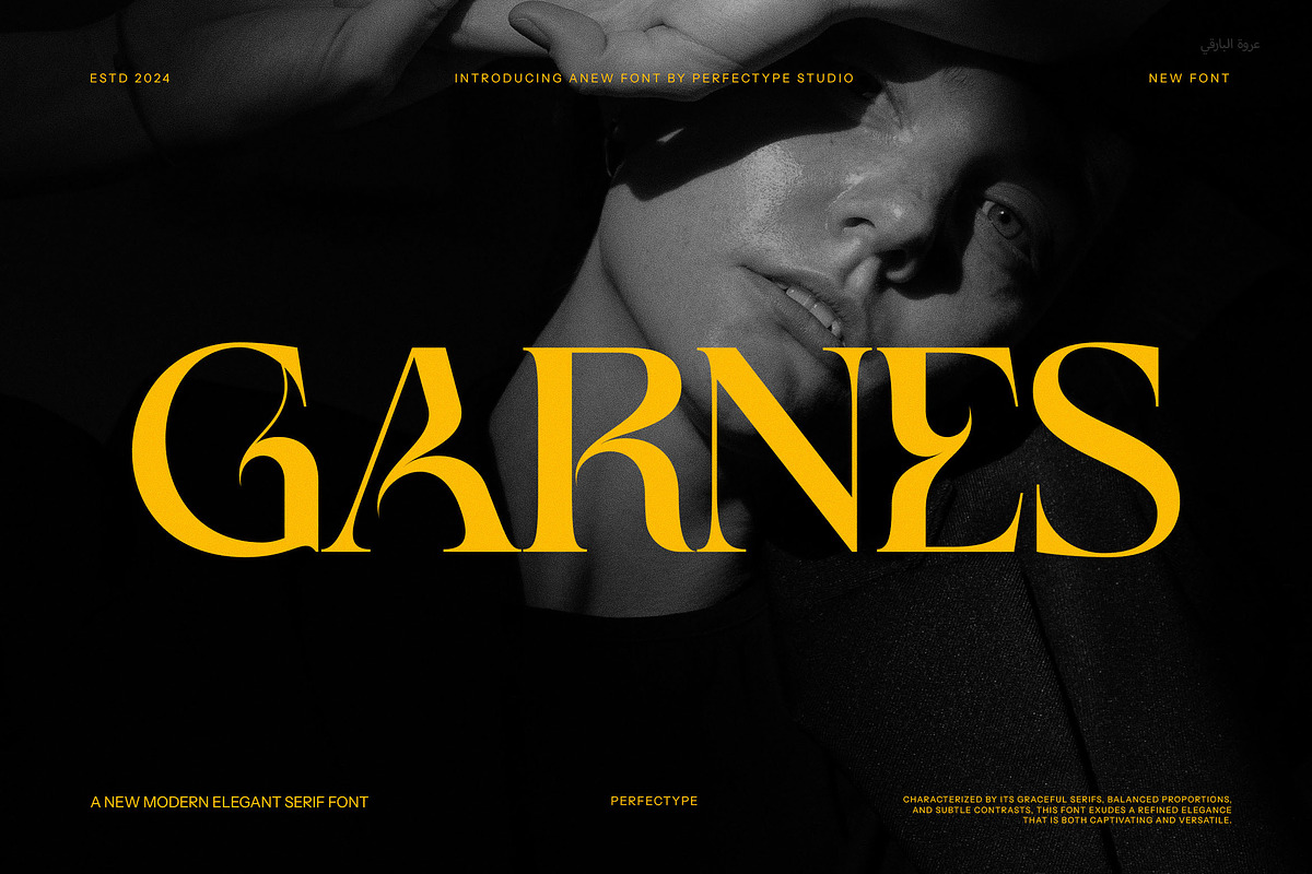 Garnes Unique Serif Font, a Serif Font by Perfectype (Photo 1 of 8)