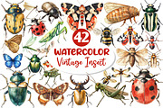Vintage Insect Sublimation Clipart, an Illustration by Dream Creation (Thumbnail 1 of 7)