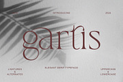 gartis, a Serif Font by Muflieart (Thumbnail 1 of 10)