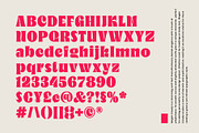 Megan Cloudy - Charming Serif, a Serif Font by Variatype (Thumbnail 9 of 10)