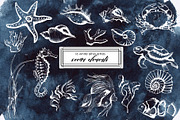 Ocean & sea underwater life, an Object Graphic by Ana-Sakuta (Thumbnail 14 of 18)
