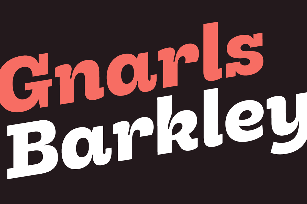 Hernández Niu, a Slab Serif Font by Latinotype (Photo 14 of 17)