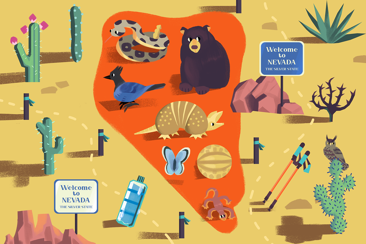 NEVADA. Scene & Posters Bundle, an Animal Illustration by Schumacher Shop (Photo 4 of 11)