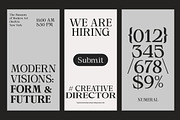 Calgine Serif, a Serif Font by MasaType (Thumbnail 5 of 12)