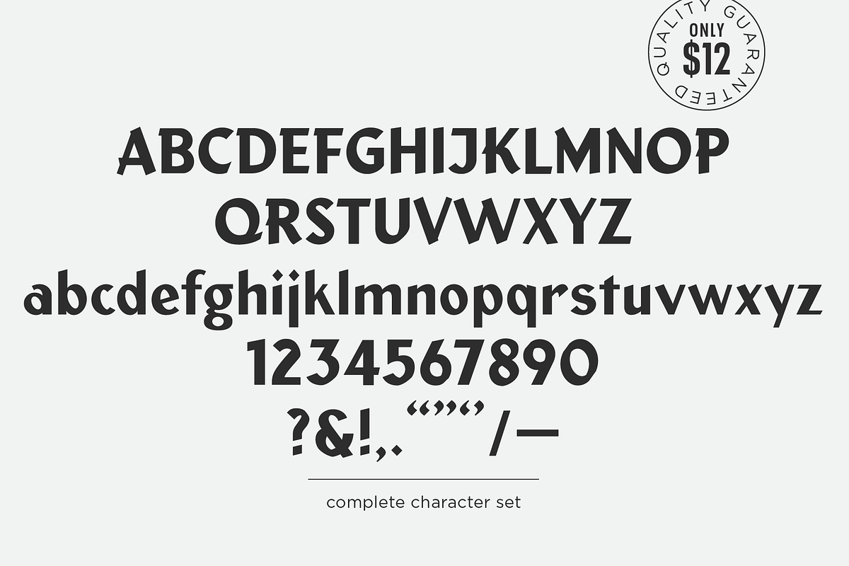 Wide Nib, a Sans Serif Font by Doug Best Foundry (Photo 1 of 3)