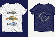 Watercolor FISHES, a Pattern Graphic by JennyColorArt (Thumbnail 2 of 7)