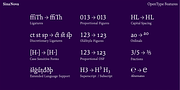 Sina Nova, a Serif Font by Hoftype (Thumbnail 15 of 15)