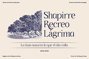GC Saphone – Sophisticated Serif, a Serif Font by Glyphonic (Thumbnail 3 of 15)
