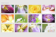 Dreamy Blurred Floral Backgrounds, a Background Graphic by dlinnaya (Thumbnail 8 of 9)