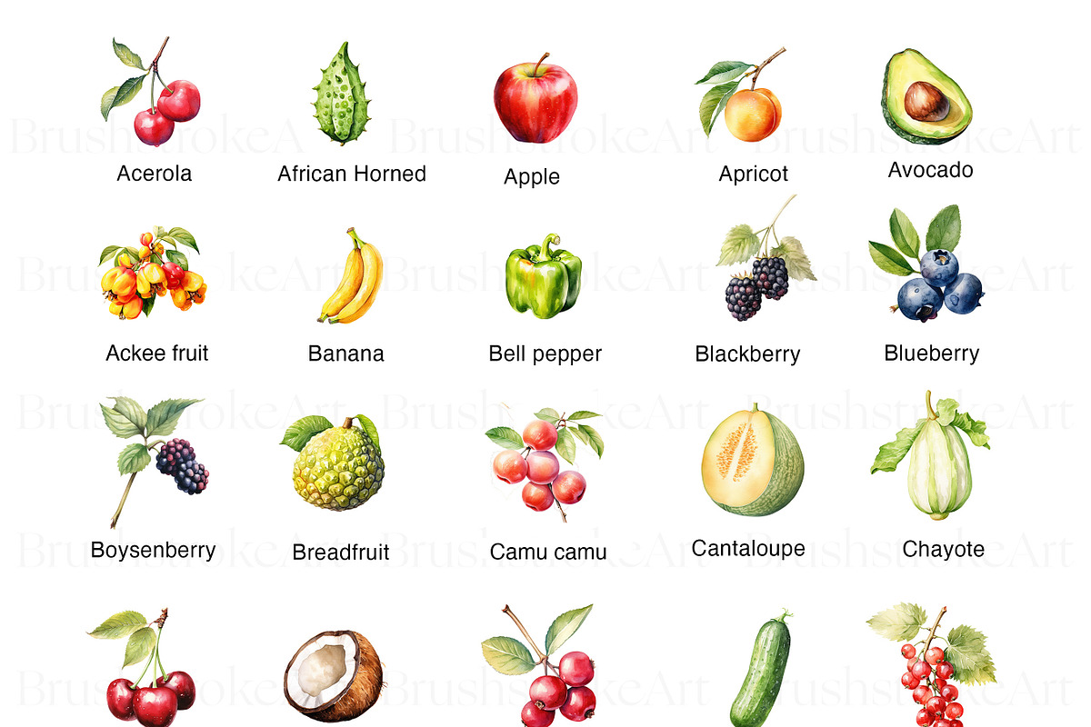 Watercolor Fruits Clipart, Pear PNG, a Food Illustration by BrushstrokeArtGB (Photo 2 of 9)