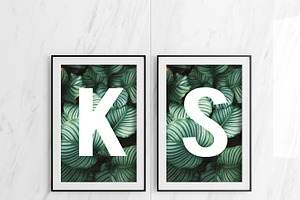 Double Poster Frame