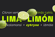 Gintona Sans, a Font by Sudtipos (Thumbnail 6 of 11)
