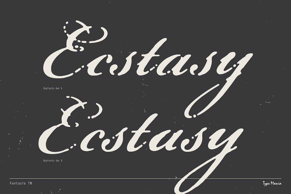 Fantasia TM – Dreamy Script, a Font by Type Mania (Photo 6 of 12)
