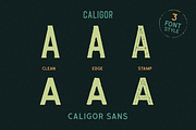 CALIGOR - Display Typeface, a Sans Serif Font by Letterhend Studio (Thumbnail 3 of 13)