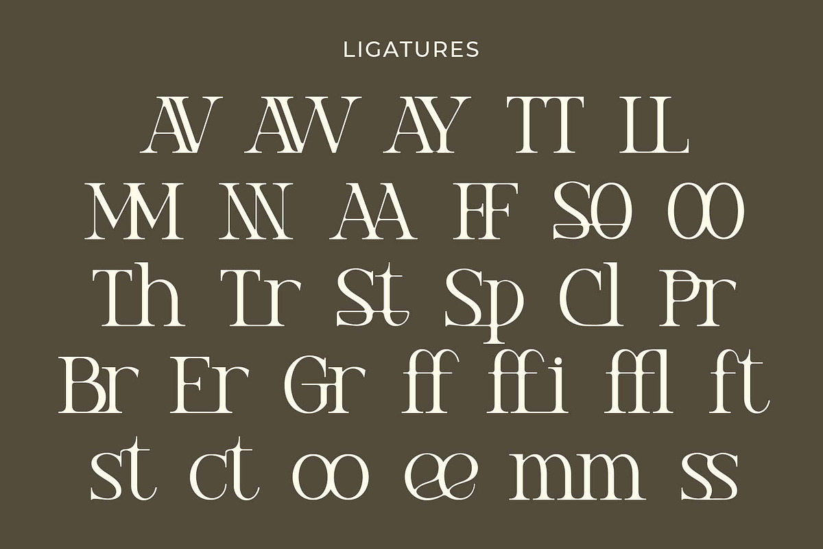 Prista an elegant serif font, a Sans Serif Font by Honestype (Photo 10 of 10)