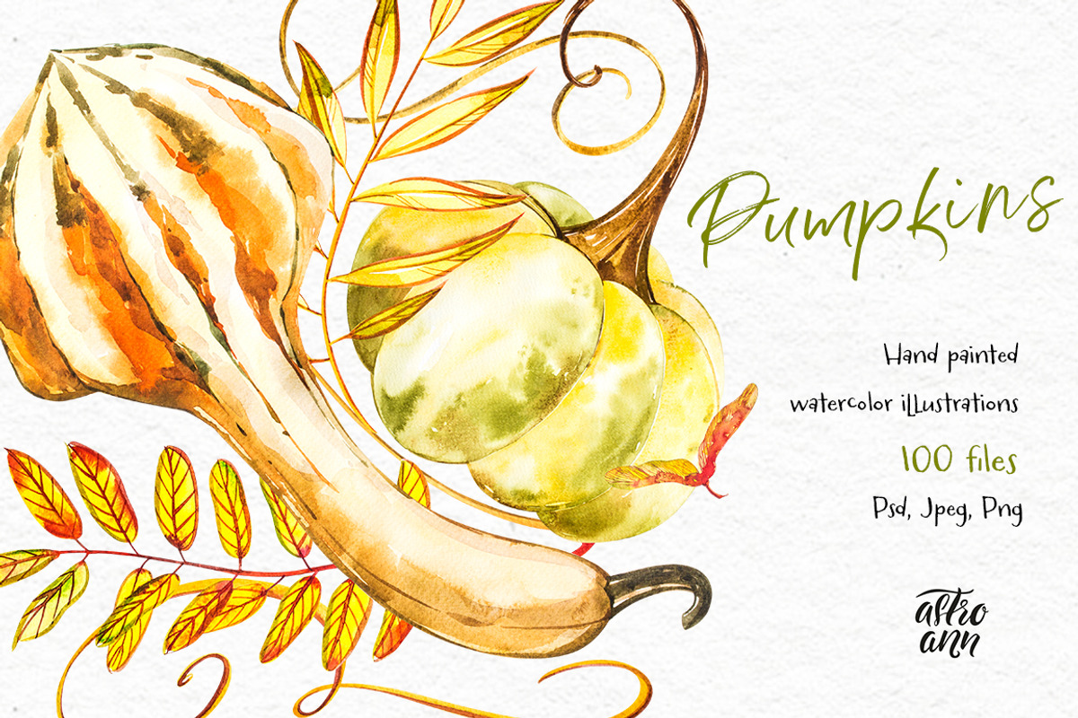 Pumpkins watercolor collection, a Food Illustration by Ann Astro (Photo 9 of 17)