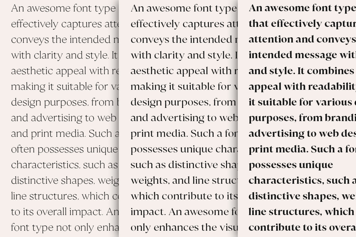 Calibra 20 Fonts | Save 40%, a Serif Font by Mulkan Nazir (Photo 16 of 17)
