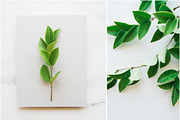 Instagram Styled Stock Square Photos, a Social Media Template by LaPorte Images (Thumbnail 14 of 19)