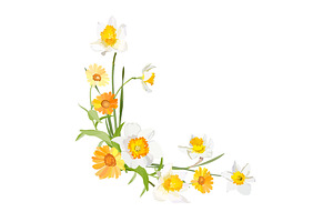 Vector Object Brushes. Daffodils