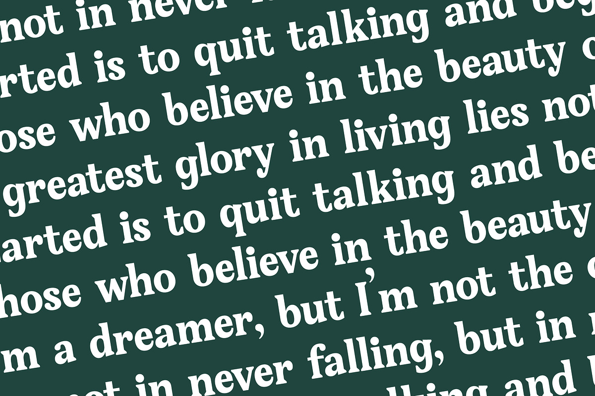 Gafjust Minfine Modern Serif, a Serif Font by timelesstype.co (Photo 17 of 20)