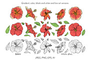 Hibiscus Flower Ink Line Art Drawing, an Object Graphic by Rose Design (Thumbnail 2 of 11)