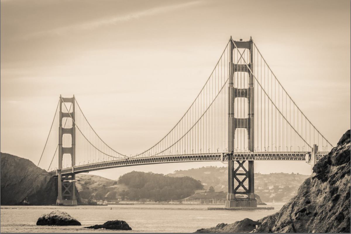 Black and White Lightroom Presets preview 6