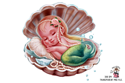 Mermaid PNG, Sea Shell PNG Bundle, a Graphic by Clipart Bloom (Thumbnail 2 of 14)