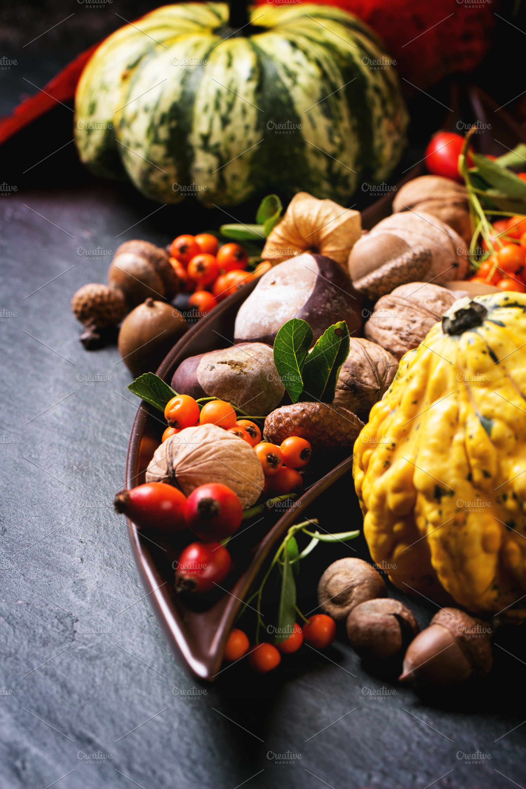 Pumpkins Nuts And Mushrooms Containing Pumpkin Autumn And Thanksgiving