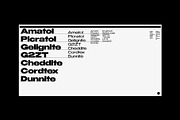 Benzin | Font Family, a Sans Serif Font by Supremat (Thumbnail 4 of 9)
