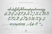 Archive Magno Script, a Script Font by Archive Type Fonts (Thumbnail 3 of 3)