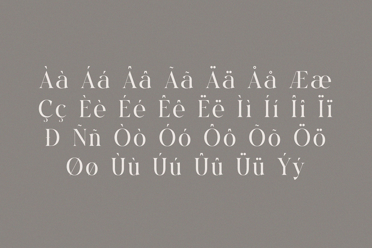 Velvet Shade – Elegant Serif Font, a Serif Font by BrandSemut (Photo 8 of 8)