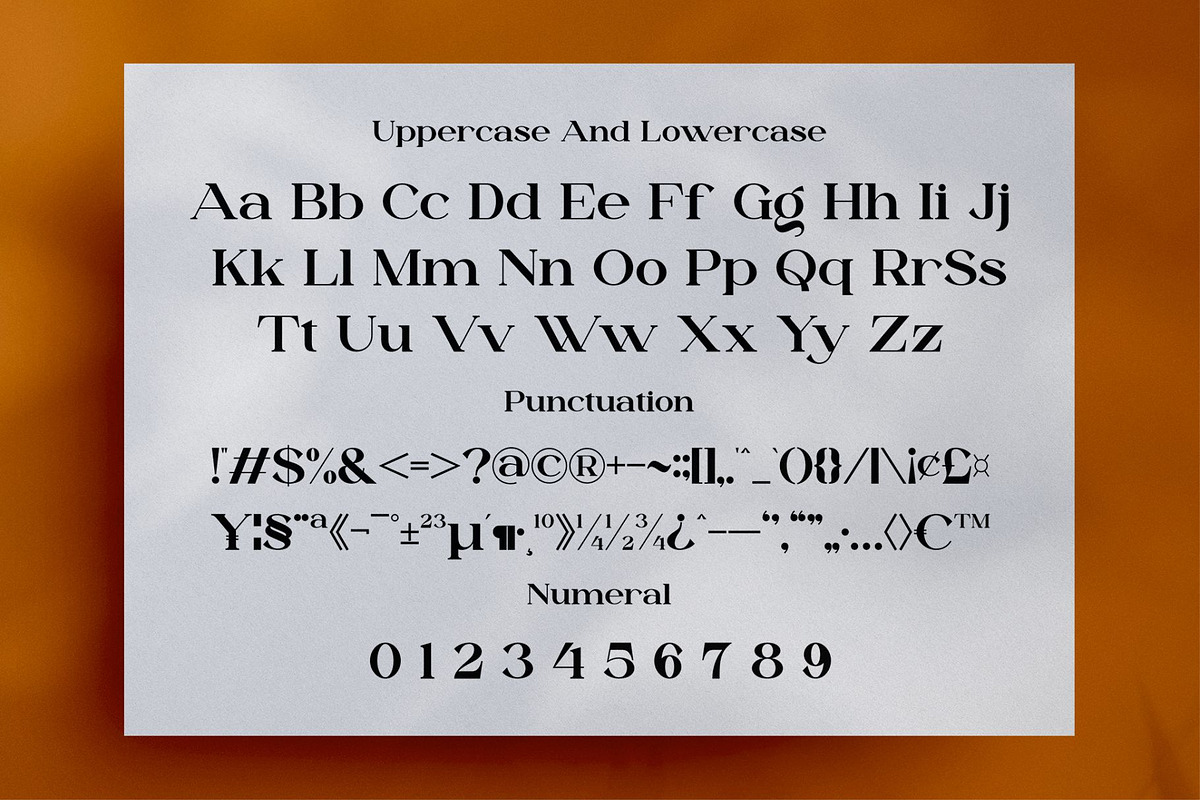 Dailen Style || Serif Font, a Serif Font by Idea Studio (Photo 8 of 10)