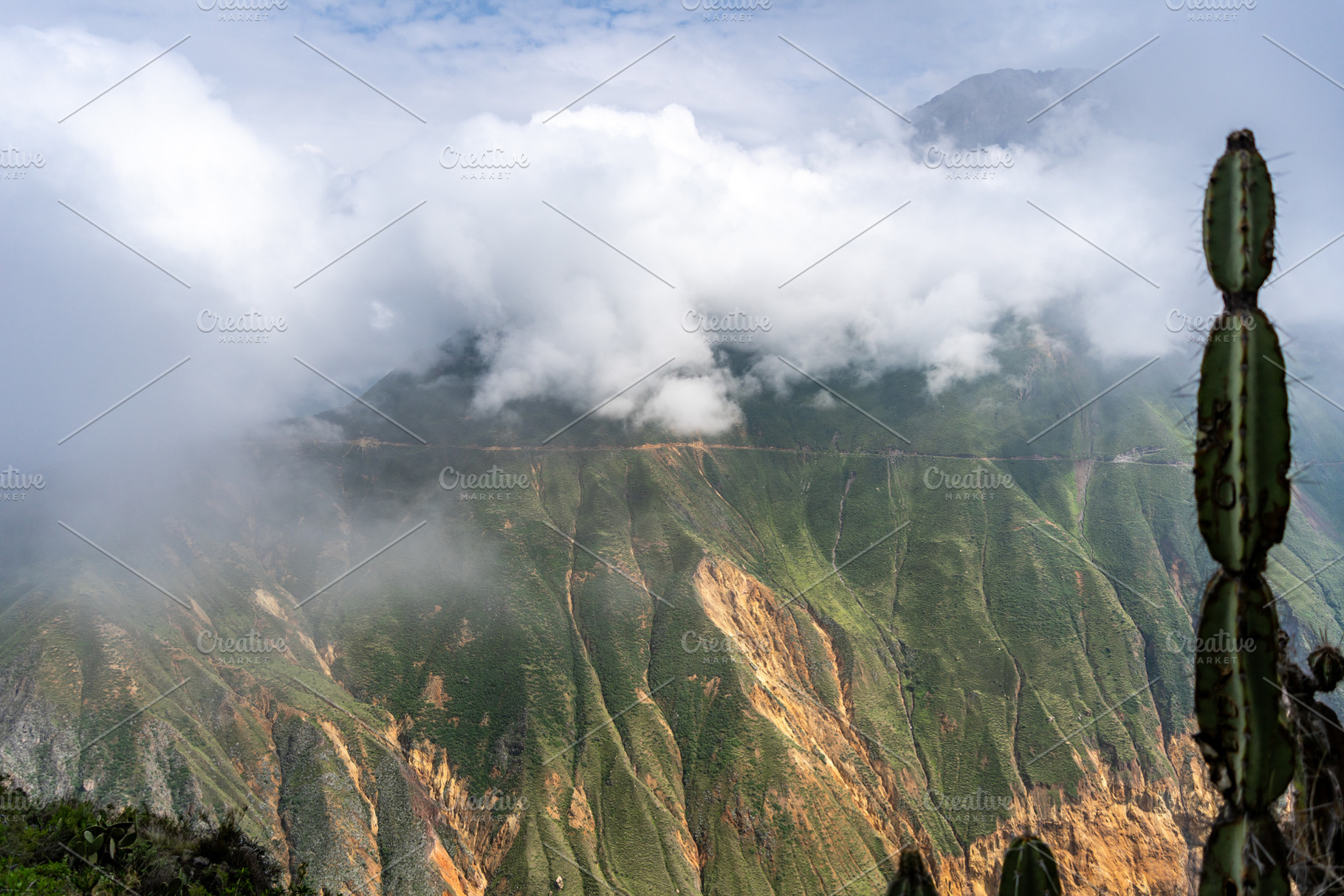 Colca Canyon with cactus in the mist, Peru, a Photo by GoodGoods