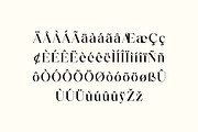 Venora Rosalind Elegant Serif Font, a Serif Font by UICreative (Thumbnail 11 of 13)