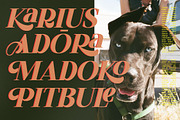 Reka Modern Display Font, a Serif Font by Storytype Studio (Thumbnail 6 of 15)