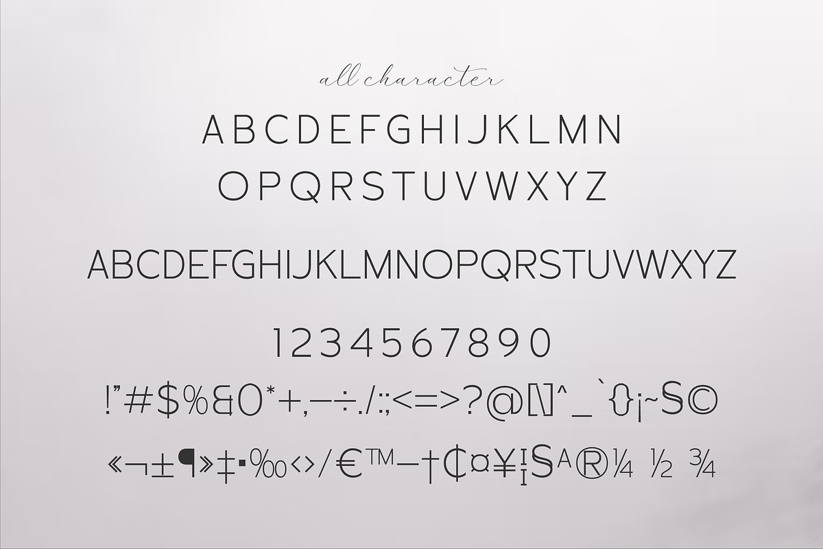 Rather Modern Typeface Font, a Sans Serif Font by Storytype Studio (Photo 12 of 14)