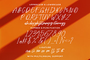 Oyange - Brush Calligraphy Font, a Script Font by StringLabs (Thumbnail 10 of 12)