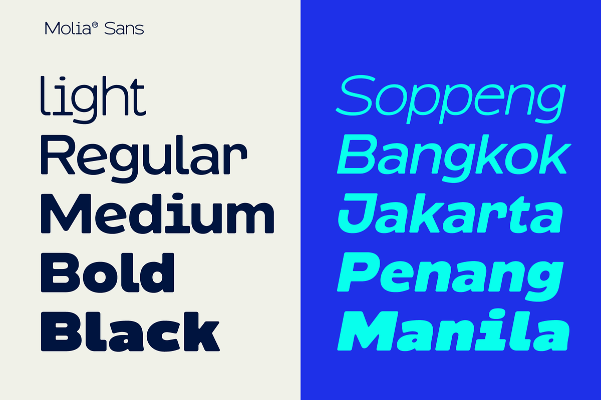 Molia - Sans Serif Font, a Sans Serif Font by limitype (Photo 6 of 12)