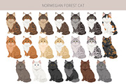Norwegian Forest cat clipart, an Animal Illustration by pet design shop (Thumbnail 4 of 6)