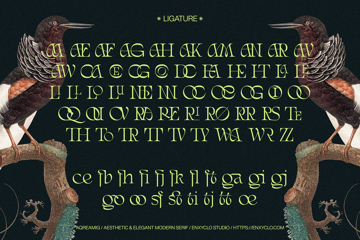 AQREAMIG — Luxury Ligature Serif, a Serif Font by Enxyclo Studio (Photo 21 of 25)