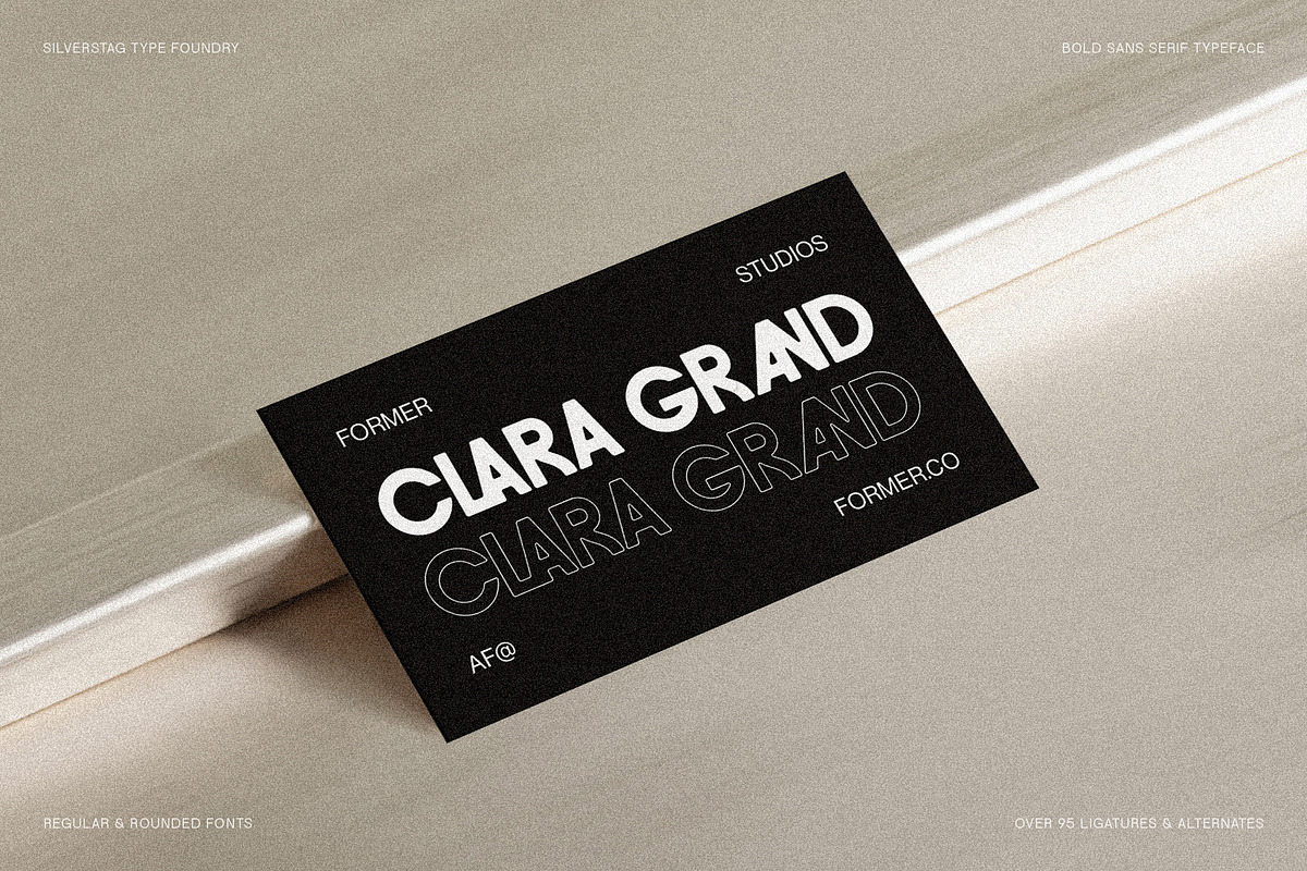 FlyBridge - Bold Ligature Rich Sans, a Sans Serif Font by SilverStag Type Foundry (Photo 23 of 30)