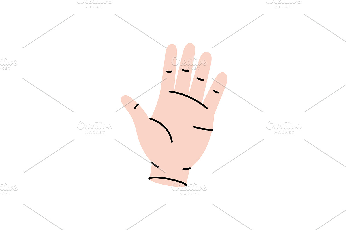 Hand. Human internal organ. Vector, an Object Illustration by GraphiShop